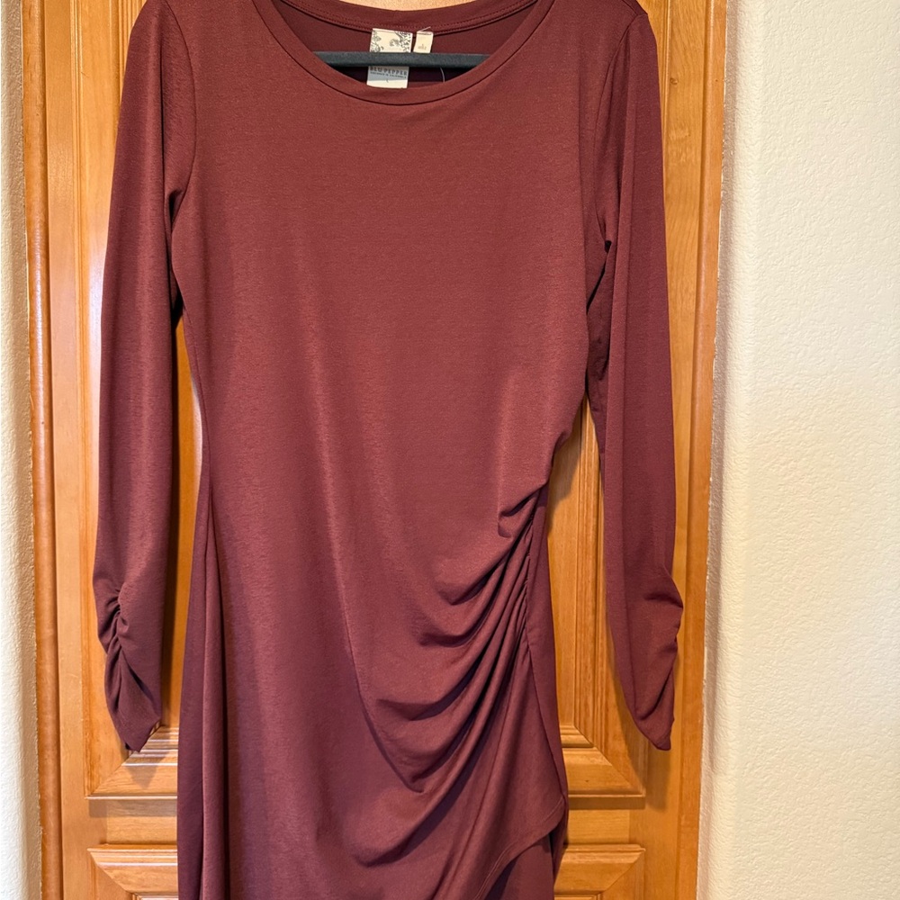 Blu Pepper Maroon Long Sleeve Dress